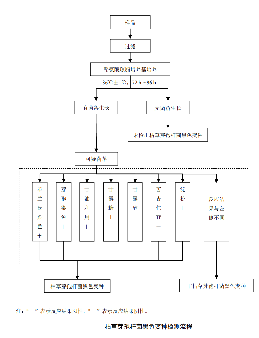 枯草芽孢杆菌黑色变种检测流程